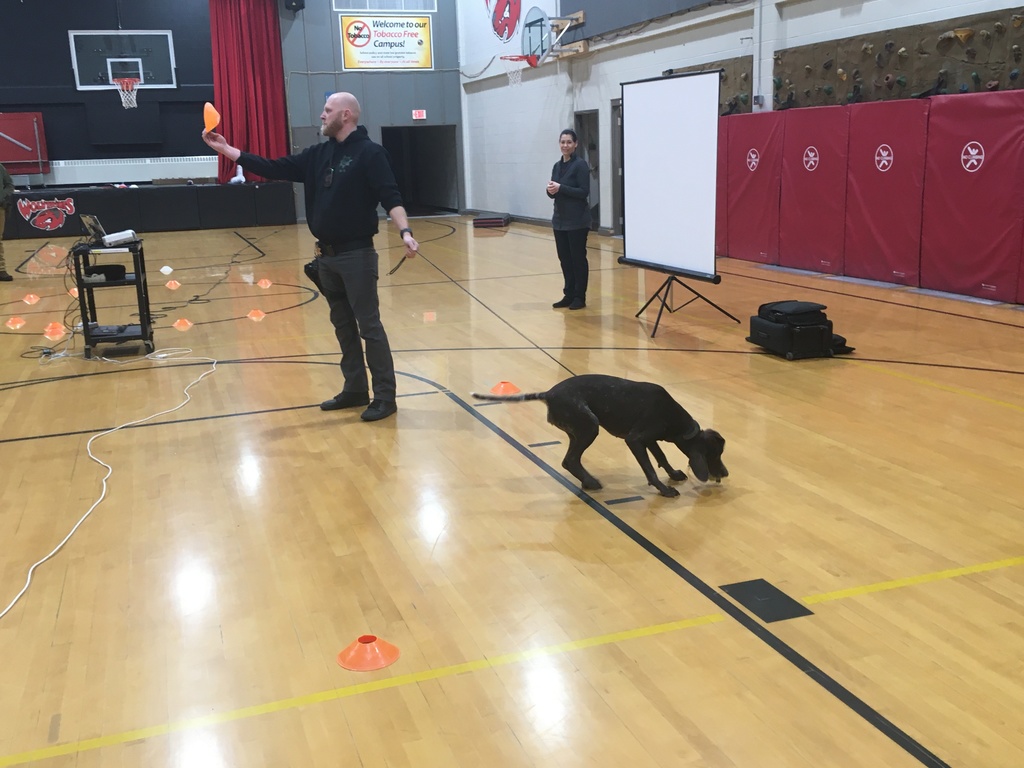 Anti-Drug Presentation from Flathead County Sheriff's Officers and K-9's , Misty and Audie